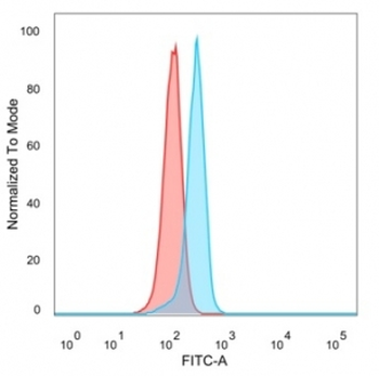ATF2 Antibody