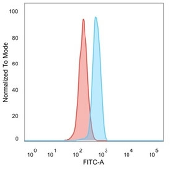 Decapping Protein 2 Antibody / DCP2 / m7GpppN-mRNA hydrolase