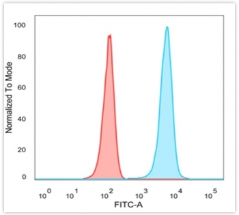 JAZF1 Antibody