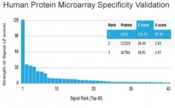 Leucine-rich alpha-2-glycoprotein Antibody / LRG1