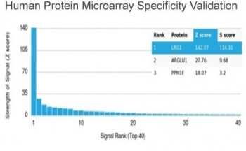 LRG1 Antibody / Leucine-rich alpha-2-glycoprotein