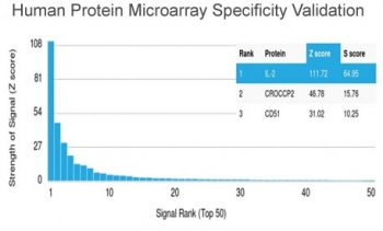 IL-2 Antibody