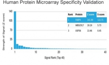 FABP4 Antibody