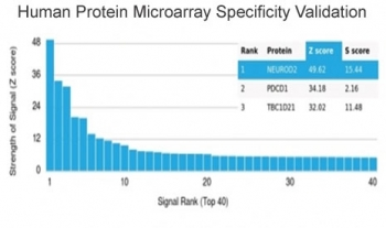 NEUROD2 Antibody