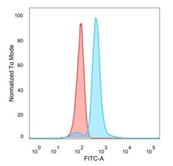 CHRAC17 Antibody / POLE3