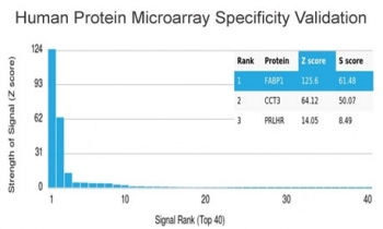 FABP1 Antibody