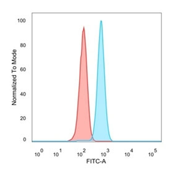 AGO3 Antibody / Argonaute-3 / eIF2C3
