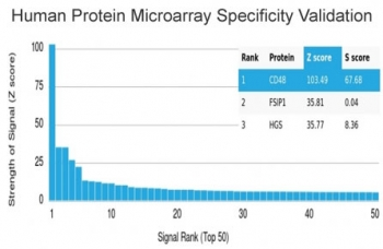 CD48 Antibody (Pan Leukocyte Marker)