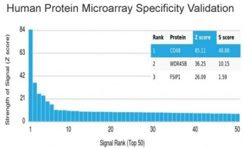 CD48 Antibody (Pan Leukocyte Marker)