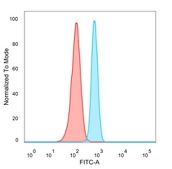 PDX1 Antibody / Pancreas/duodenum homeobox protein 1