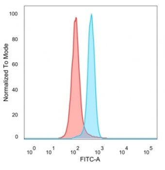 MSK1 Antibody / RPS6KA5