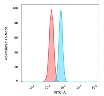 ZMYM3 Antibody