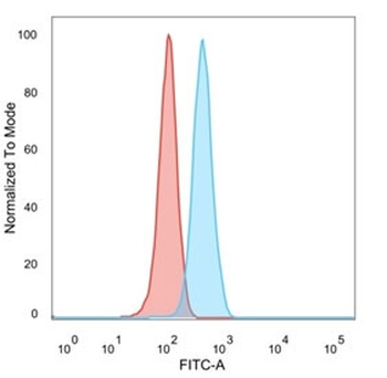 ZMYM3 Antibody