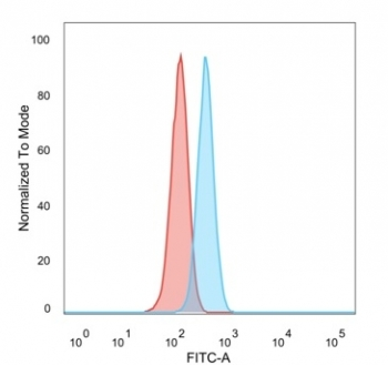 ZNF622 Antibody / ZPR9