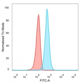 TSC22D1 Antibody / TSC22