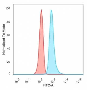 THG1 Antibody / RHOXF2