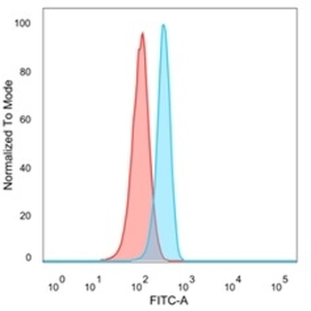 SMARCC1 Antibody / BAF155