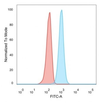 RXR beta Antibody / RXRB