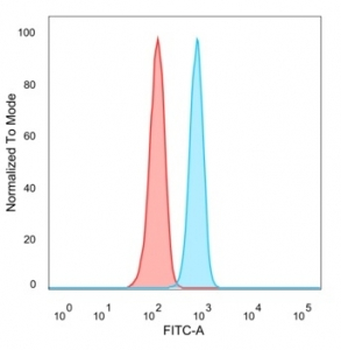 RXR beta Antibody / RXRB