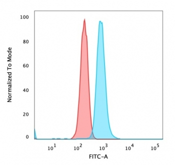 p65 Antibody / NF-kB