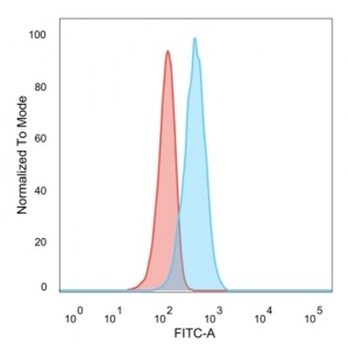 p65 Antibody / NF-kB
