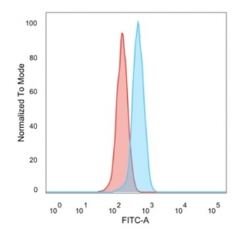 ZBTB7C Antibody