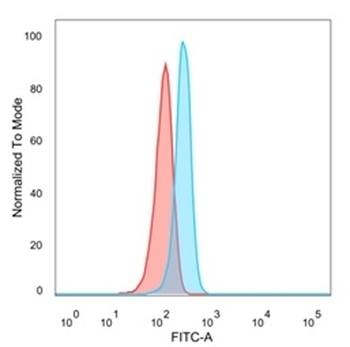 EIF2A Antibody / EIF2S1
