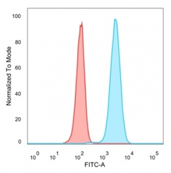 CREB5 Antibody / CRE-BPa