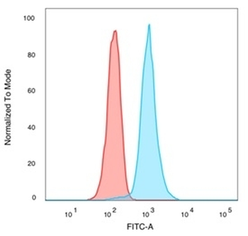 CREB5 Antibody / CRE-BPa