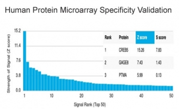 CREB5 Antibody / CRE-BPa