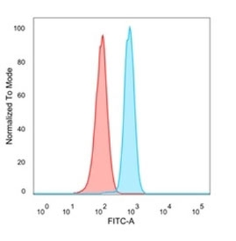 MBNL3 Antibody