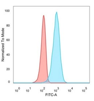 IRF3 Antibody