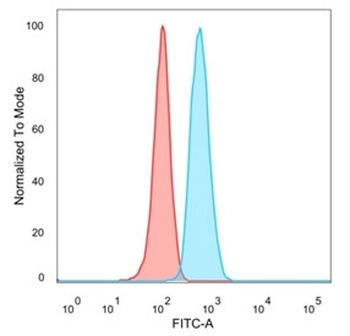 IRF3 Antibody