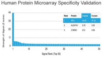 IRF3 Antibody
