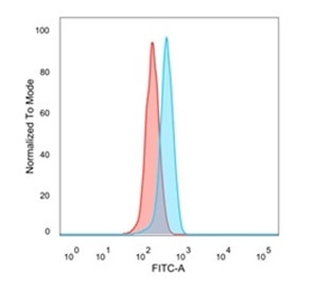 GTF2H2 Antibody / BTF2 p44 / TFIIH