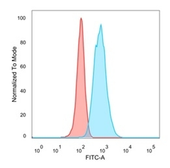 EIF4E Antibody
