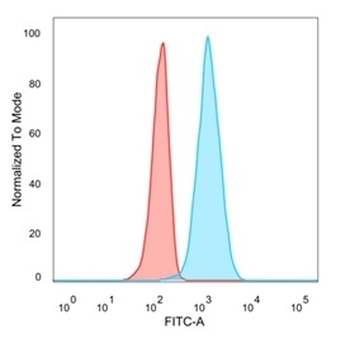 EIF4E Antibody