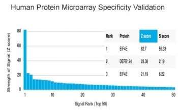EIF4E Antibody