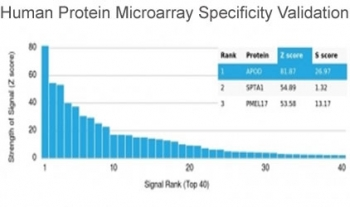 APOD Antibody / Apolipoprotein D