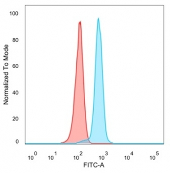 ID1 Antibody / DNA binding protein inhibitor ID-1