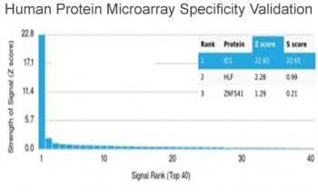 ID1 Antibody / DNA binding protein inhibitor ID-1