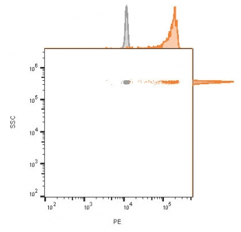 CD63 Antibody / LAMP-3