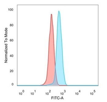ZHX3 Antibody