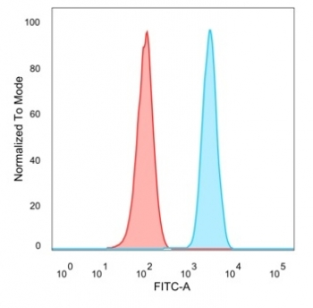 MLX Antibody / Max-like protein X