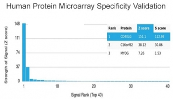 CD40L Antibody / TRAP / CD154