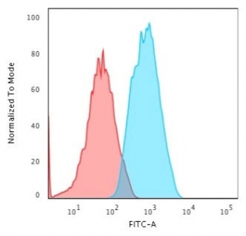 Alpha Actin Antibody / ACTA2 (smooth muscle)