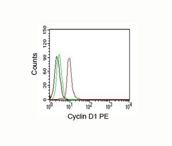 Cyclin D1 Antibody
