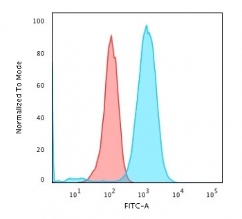 CD79a Antibody