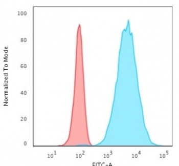 KRT8 Antibody / Cytokeratin 8