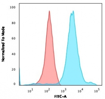 Neurofilament Antibody (-Heavy) / NF-H / NEFH